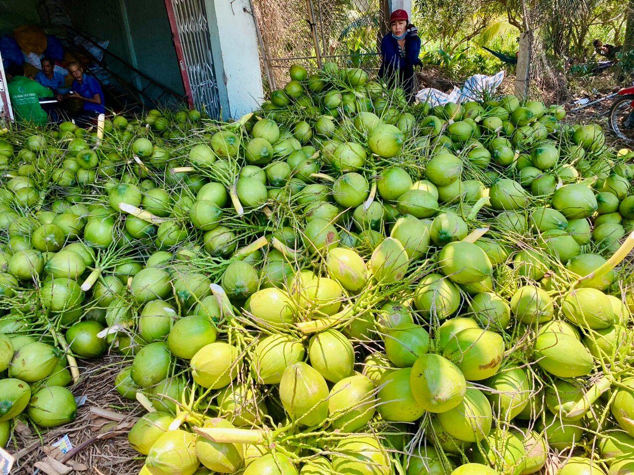 Immerse in Ben Tre’s vibrant Mekong Delta heritage